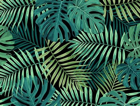 tropical Backdrops